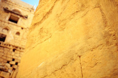 IMG_20260814_0021