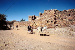 IMG_20260814_0033