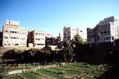 IMG_20260814_0081