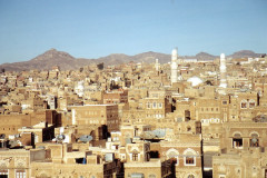 IMG_20260814_0092