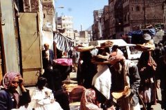 IMG_20260814_0097-rotated