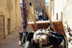 IMG_20260814_0134
