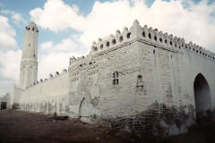 IMG_20260814_0177