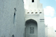 IMG_20260814_0184