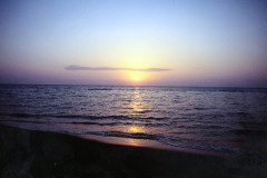 IMG_20260814_0186