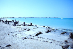 IMG_20260814_0194