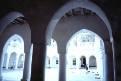 IMG_20260814_0206