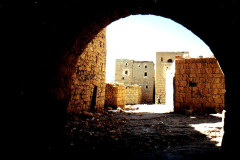 IMG_20260814_0260