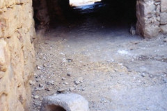 IMG_20260814_0262
