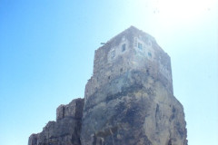 IMG_20260814_0263