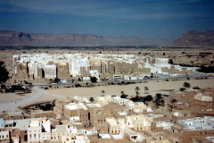 IMG_20260814_0264