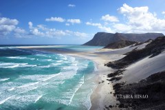 0908SOCOTRA2