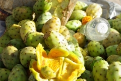 Photo012