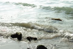 Photo025