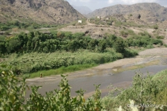 Photo031