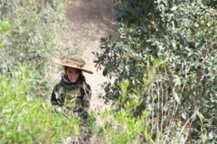 Photo033