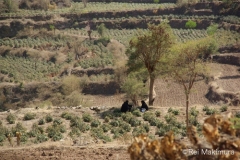 Photo034
